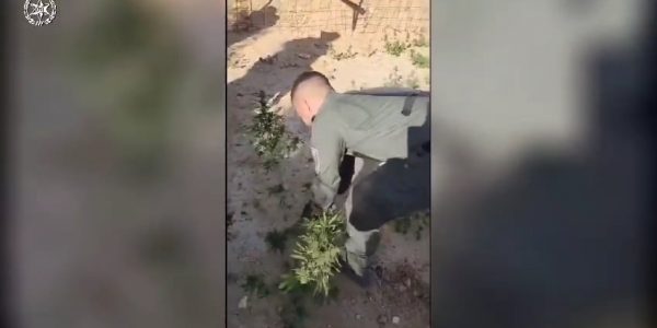 whatsapp-video-2023-08-08-at-07-33-33-mp4-1