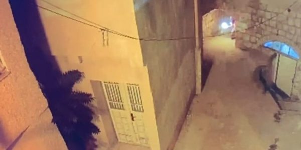 whatsapp-video-2023-09-10-at-11-30-16-mp4-1