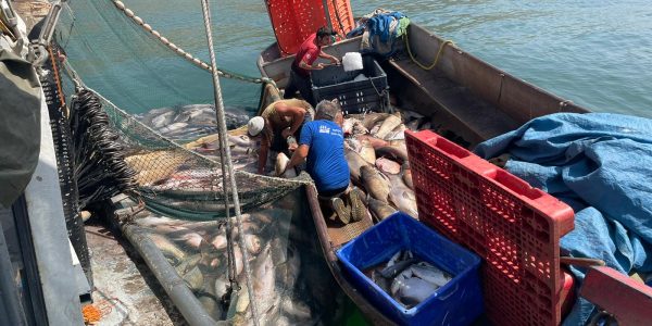 צילום: תיירות עין גב
