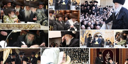 צילומים: שוקי לרר, א. אייזנבאך, משה גולדשטיין