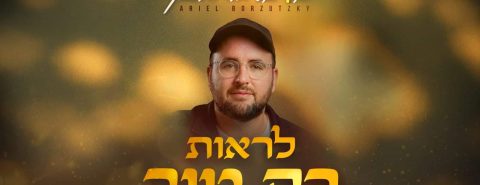 אריאל בורסוצקי לראות רק טוב - גרפיקה