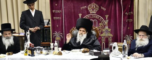 אשלג צילום שוקי לרר (5)