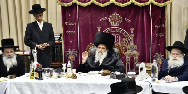 אשלג צילום שוקי לרר (5)