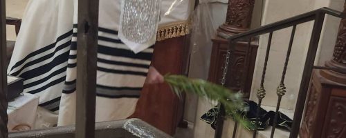 בחביטת-הערבות