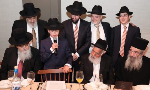 צילום: נועם אליהו