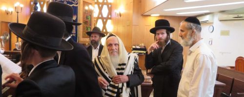 ברית-אביר-יעקב-סאדיגורה-רדומסק-8