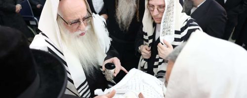 ברית זלמנוביץ. צילום - א. אייזנבאך (4)