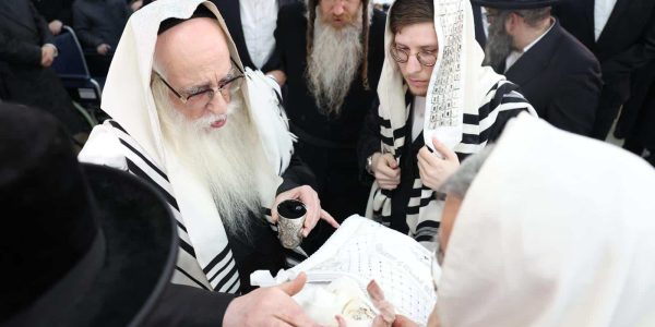 ברית זלמנוביץ. צילום - א. אייזנבאך (4)