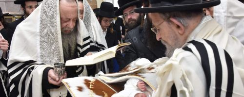 ברית לנין האדמור מנאראל. צילום יהודה פרקוביץ (16)