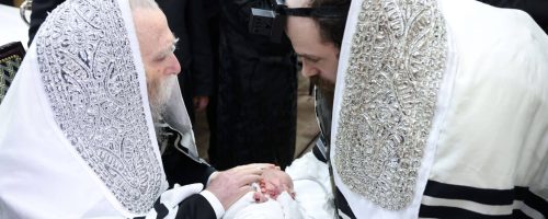 ברית-לנין-האדמור-מערלוי.-צילום-שמואל-דריי-5