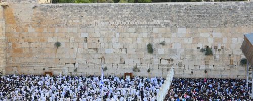 קרדיט צילום: הקרן למורשת הכותל המערבי