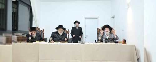 צילום: משה גולדשטין