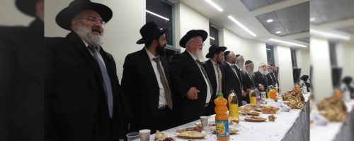 צילום: ש.פ.ה