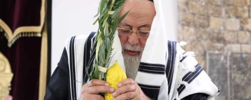 גדולי חכמי ספרד בנענוע ארבעת המינים. צילום דוד ארזני (20)