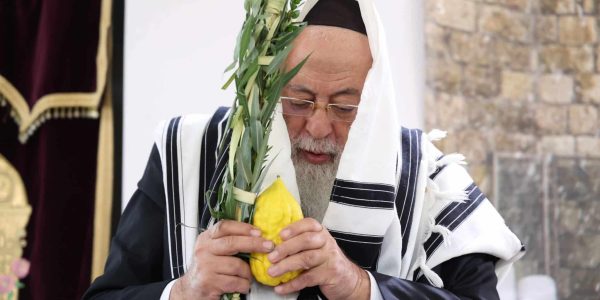 גדולי חכמי ספרד בנענוע ארבעת המינים. צילום דוד ארזני (20)