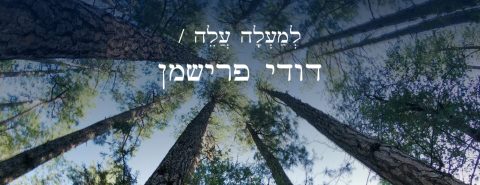 דודי פרישמן למעלה עלה - גרפיקה