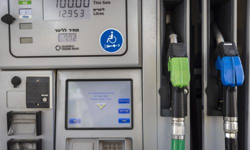 צילום: אוליבייה פיטוסי/פלאש 90