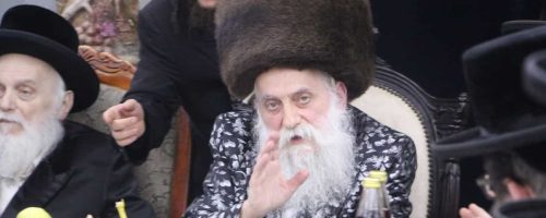 האדמור-מבוטשאן-בעריכת-טיש-טו-בשבט.-צילום-איתי-קצב-6