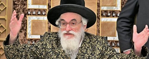 האדמו''ר מויז'ניץ בלייקווד. צילום - יהושע פרוכטר (18)