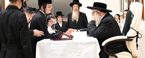 צילום: משה גולדשטיין