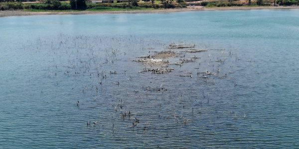 צילום: שי מזרחי/ איגוד ערים כינרת