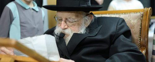 הגאון רבי מאיר גריינמן. צילום מוטי גרין (5)