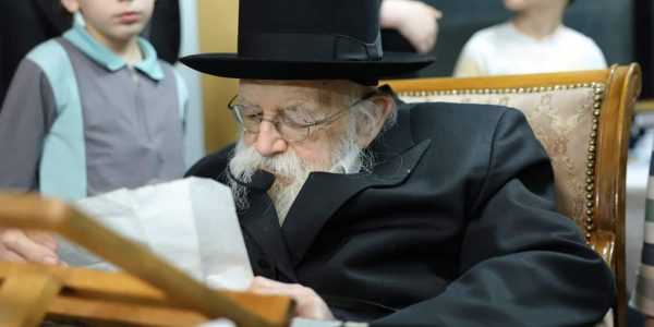 הגאון רבי מאיר גריינמן. צילום מוטי גרין (5)