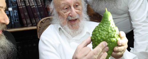 צילום: דוד ארזני