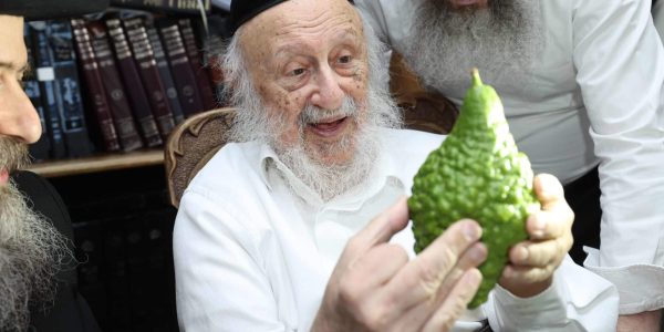 צילום: דוד ארזני