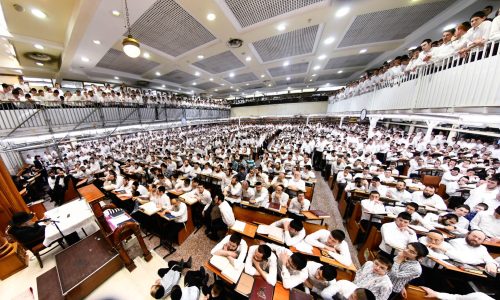 צילום: שוקי לרר