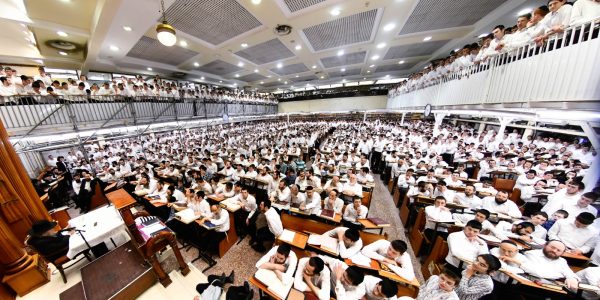 צילום: שוקי לרר
