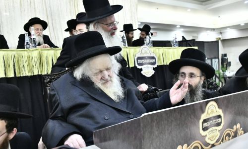 צילום: שוקי לרר