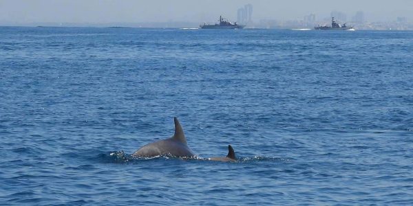 צילום: איליה בסקין, רשות הטבע והגנים