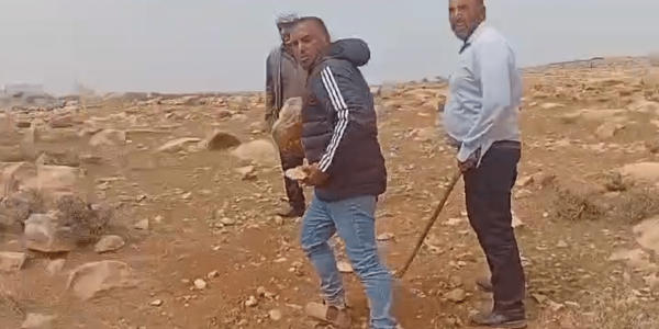 הפורעים הערבים