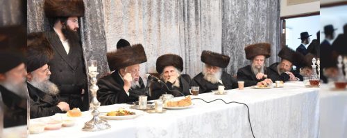 הילולת אדמור האביר יעקב מסדיגורא בבית מדרשו בתל אביב. צילום - יהודה פרקוביץ (18)