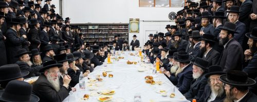 צילום: אלחנן קוטלר