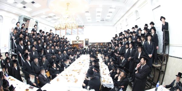 חסידי זוועיהל בעריכת שולחנו של האדמו"ר. צילום: דוד ארזני