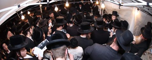 הילולת-רבי-שלומקע-מזוועיהל.-צילום-דוד-ארזני-42