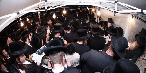 הילולת-רבי-שלומקע-מזוועיהל.-צילום-דוד-ארזני-42