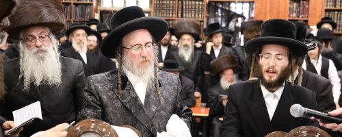 הכנסת-ספר-תורה-ביאלא-בני-ברק.-צילום-דוד-ארזני-17