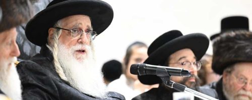 צילום: משה גולדשטיין