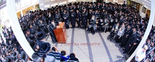 צילום משה גולדשטיין