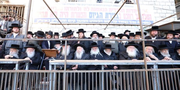צילום: דוד ארזני