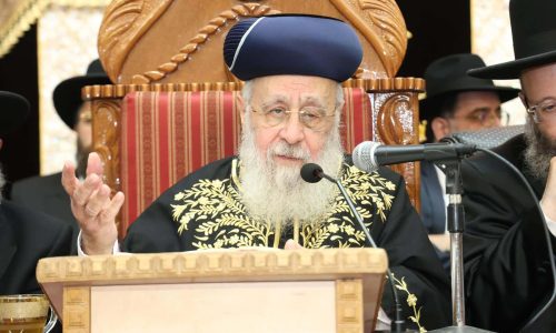 צילום: דוד ארזני