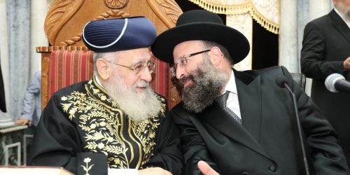 צילום: דוד ארזני