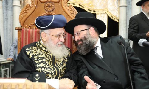 צילום: דוד ארזני