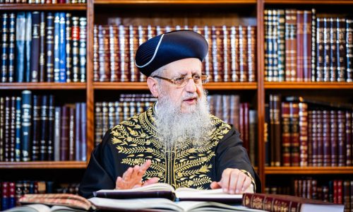 צילום: מנדי טויטו