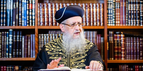 צילום: מנדי טויטו