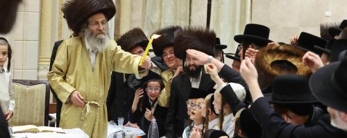 הרב אלימלך בידרמן בית שמש. צילום יעקב לדרמן (1)