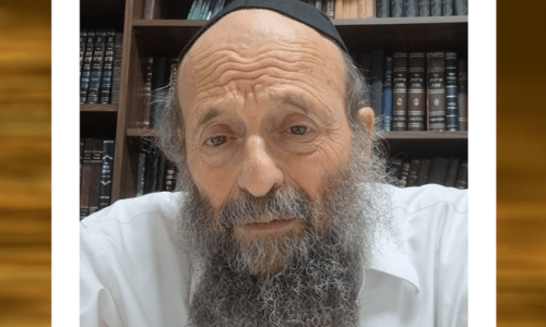 הרב גולדווסר